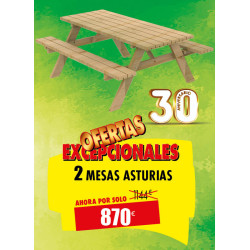 2 MESAS DE PICNIC DE MADERA...