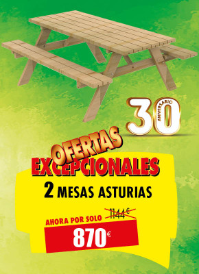 2 MESAS DE PICNIC DE MADERA ASTURIAS
