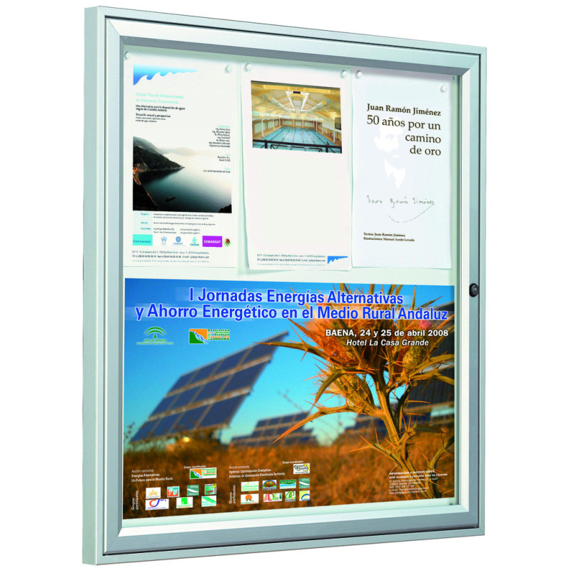 VITRINA DE EXTERIOR TRADICIÓN