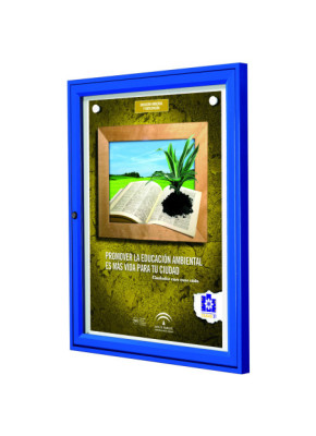 VITRINA DE EXTERIOR TRADICIÓN