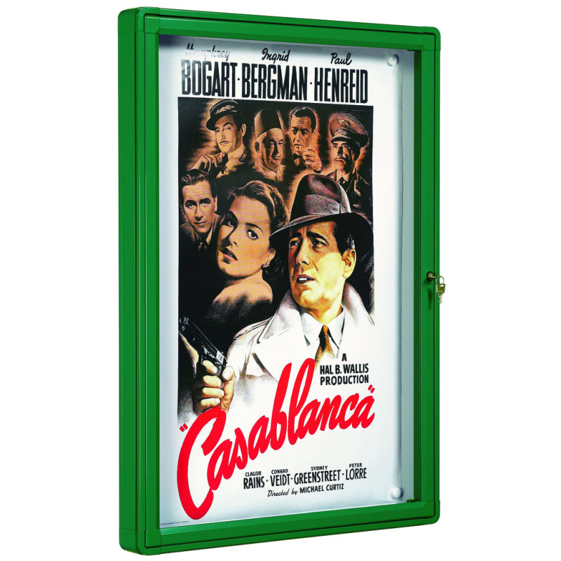 VITRINA DE EXTERIOR 2000